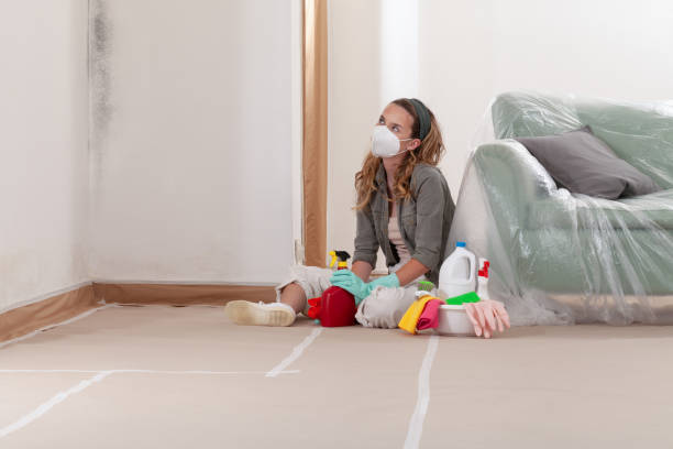 Reliable Mold Remediation contractor in Worcester, MA by WQB Mold Removal
